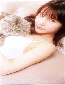 吸血女王蜂