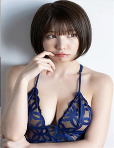 舒克和贝塔之保卫机场
